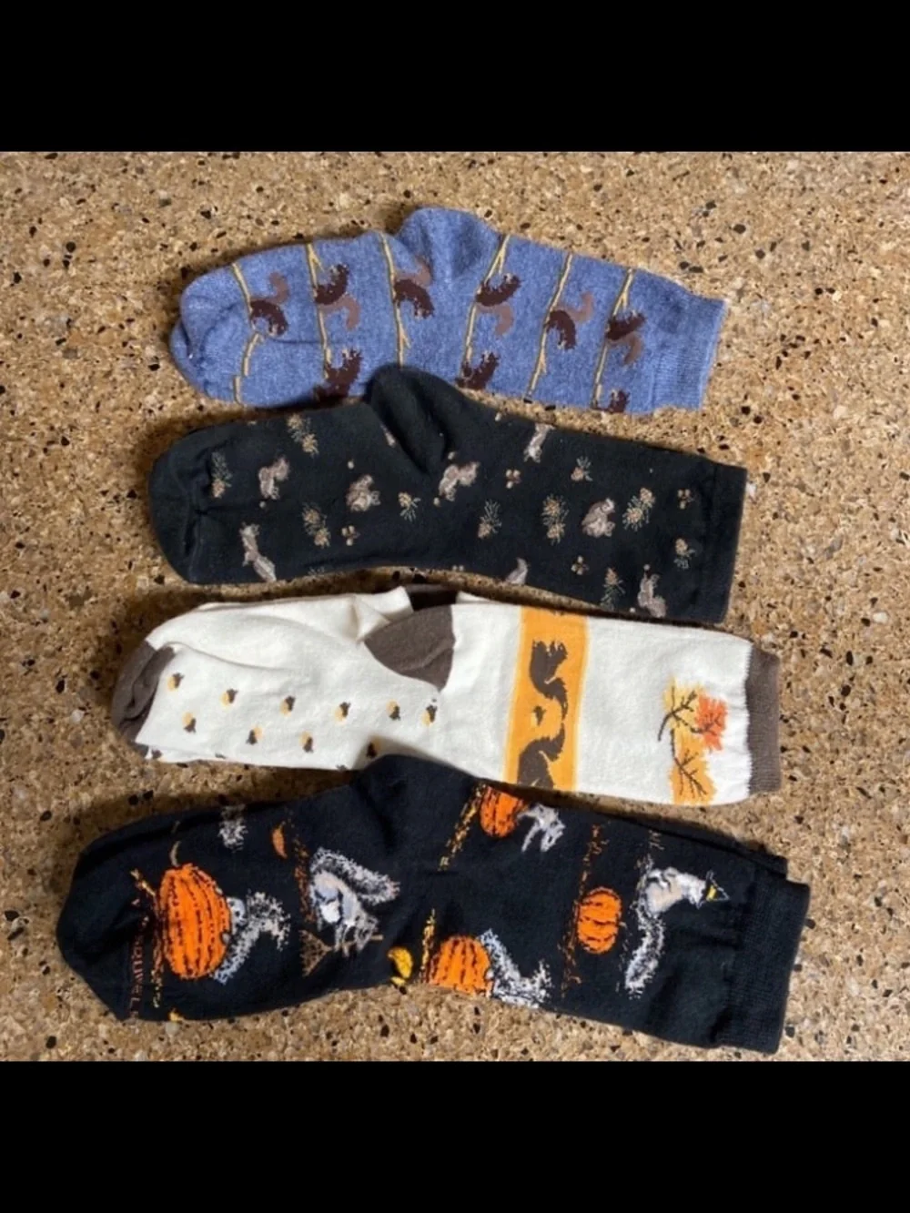 Women’s Squirrel Socks - 4 Pairs